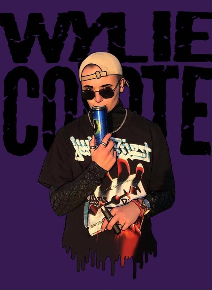 Wylie Coyote illustrated artwork — purple poster portrait